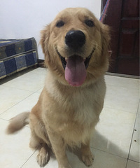 ��ë�ͼ۳���