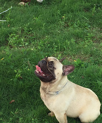 �Ҽҷ�ţ����...��ת��....