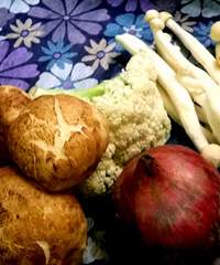 ��ϵĢ���� ����������Ģ����