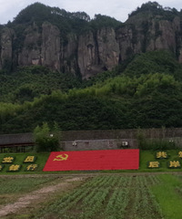 高德指引下、后岸自由行!