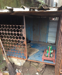 ������Сֻ����