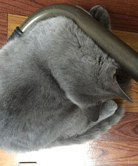 Ԫ��˯��ǧ��ٹ�