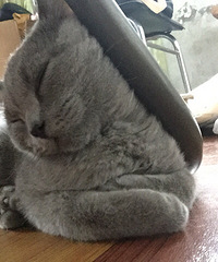 Ԫ��˯��ǧ��ٹ�