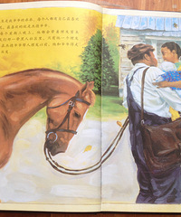 ���汾�����ڡ��ܵ�үү��������