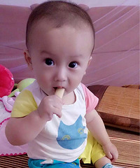 ��Ҫ����汾Ⱥ��������������С��С������