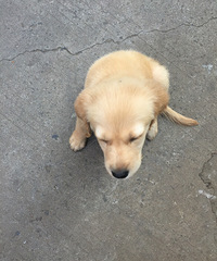 ?6?9��ô?6?9���?6?9��ü?6?9����?6?9��?6?9��?6?9��