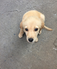 ?6?9��ô?6?9���?6?9��ü?6?9����?6?9��?6?9��?6?9��