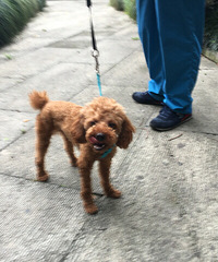 ˭���˱��ܺ͹�������������γ���ҽԺ���ȥ