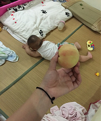 �������Ρ�+�����