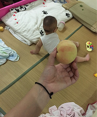 �������Ρ�+�����