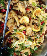 �����ݼ�צ�Ľ̳̣��Ƶ����Ʒ���)