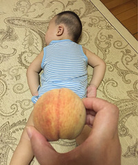 �����ε��ջ�