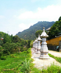 雁荡能仁寺燕尾瀑