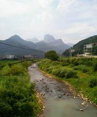雁荡筋竹观光园至雁湖一路美景