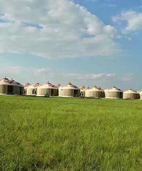 8��5�Ž�����ȥ���ɹ����ֹ��մ��ԭ