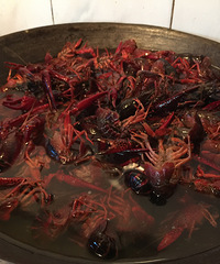 �������ߵ�С��Ϻ