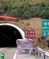 20���� ̨�ݸ���è��������Ⱥ�����������ʩ��