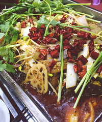 �Ĵ��������� ζ��̫����