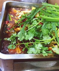 �Ĵ��������� ζ��̫����