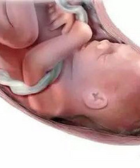 ̥�����������������Ȧ�룬���챻�����ˣ�