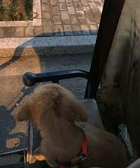 ?6?9����?6?9�����?6?9��?6?9����?6?9����?6?9���?6?9��