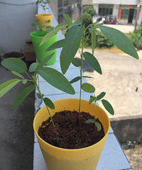 �������Ǻǲ�����ǿ�������