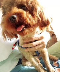 #������#+�������ҵı�����Զֻ��һ��