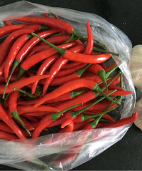 [��ʳ]���������� ����һ��Ҫ��