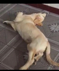 #������#+ʲô�������ɢ�Һ�ˮ�İ��飿