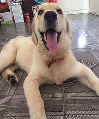 #������#+ʲô�������ɢ�Һ�ˮ�İ��飿