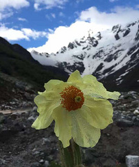 8�·�������������Լ��ε���