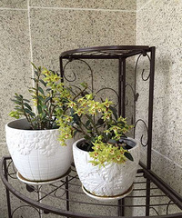 ���п�������