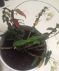 û�������������ȴ����С���