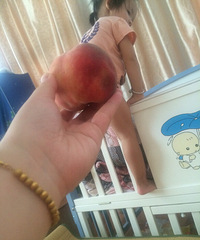 �������Ρ�������