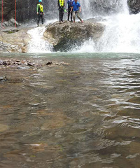 7.24�޿�����Ϫ���̼�