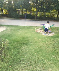 ?6?9����?6?9��?6?9�޹�?6?9��