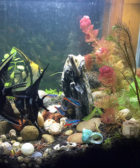 ��ͬ����Ȥ������ô