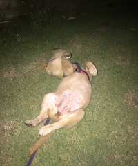 ���컯��֮�£�̹��¶�飬������