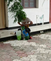 ��԰��һ�����д�Ů�����֣��������������൱��������