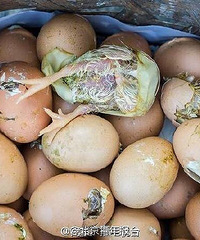 ��·�¶ȸߴ�50�� �̷�¶���С��