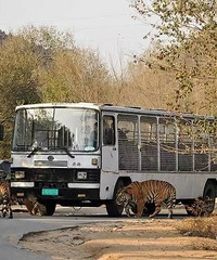 ��������԰�ϻ�Ϯ��һ��һ�ˣ�Ů�ο�Ϊ��Ҫ���������³�