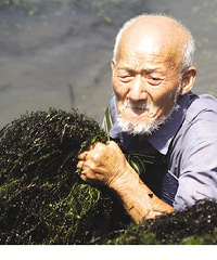 79���ϴ�ү������������������� ���Ҷ������Ӹ������