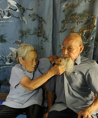 Я��80�꣬��������������һ�Ż�ɴ�գ�