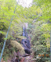 �Ϫ���Ŵ���֮�߼�կ&�챱