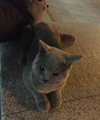 ΪСè��Ѱ���������ˡ�