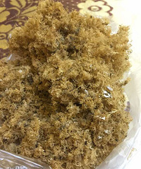 ���˸��죬��˸ඥ�׵�