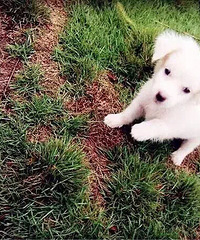 ·�� �������� һ�پ仰�����