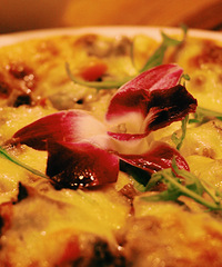 ����ǰ������͵�����~~