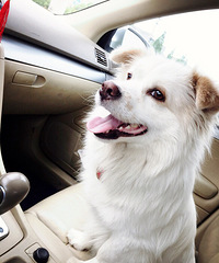 �������ü�� ����ϲ���µ����硣