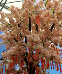 ��16��Chinajoy����